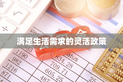 泰安满足生活需求的灵活政策