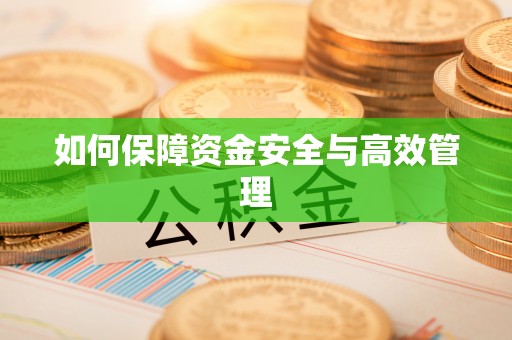 泰安如何保障资金安全与高效管理