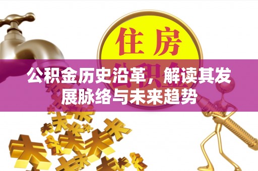 泰安公积金历史沿革，解读其发展脉络与未来趋势