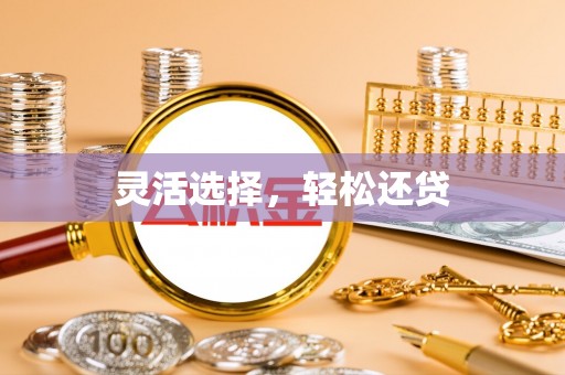 泰安灵活选择，轻松还贷