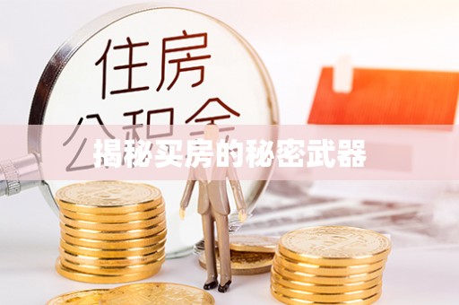 泰安揭秘买房的秘密武器