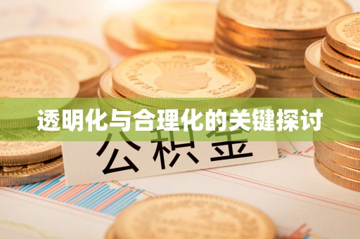泰安透明化与合理化的关键探讨