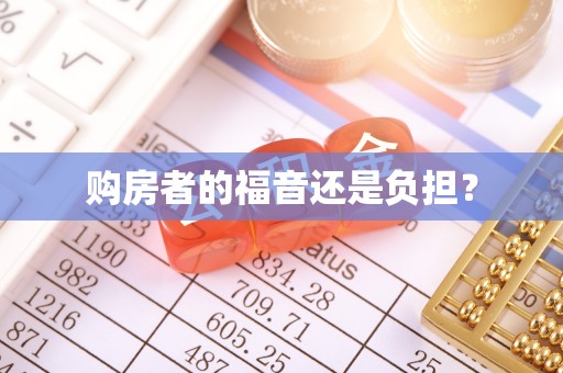 泰安购房者的福音还是负担？