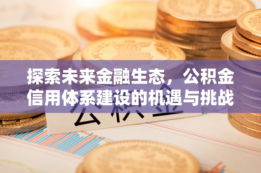 泰安探索未来金融生态，公积金信用体系建设的机遇与挑战