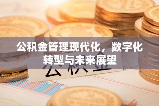 泰安公积金管理现代化，数字化转型与未来展望