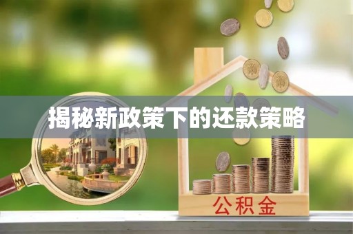 泰安揭秘新政策下的还款策略