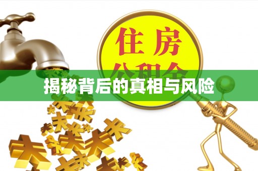 泰安揭秘背后的真相与风险