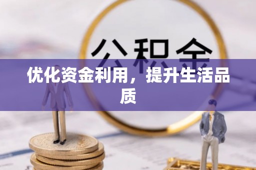 泰安优化资金利用，提升生活品质