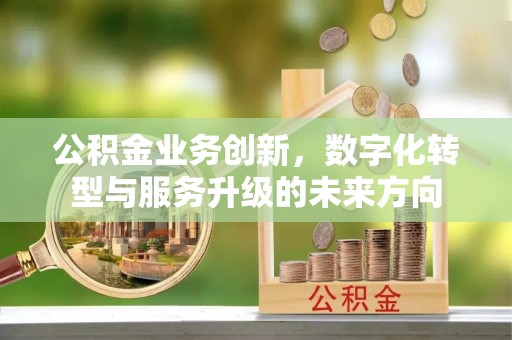 泰安公积金业务创新，数字化转型与服务升级的未来方向