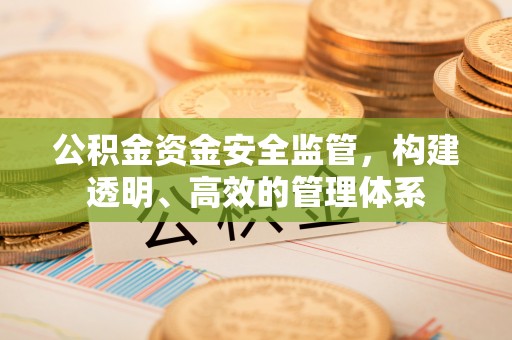 泰安公积金资金安全监管，构建透明、高效的管理体系