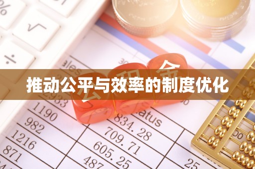 泰安推动公平与效率的制度优化