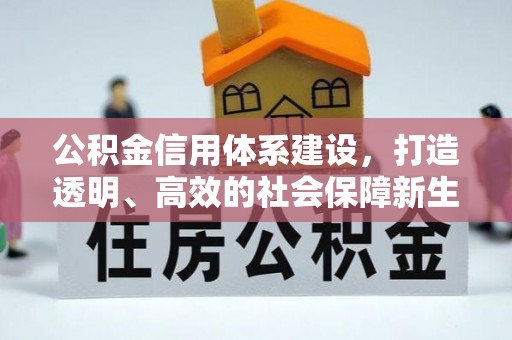 泰安公积金信用体系建设，打造透明、高效的社会保障新生态