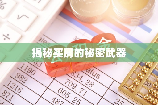 泰安揭秘买房的秘密武器