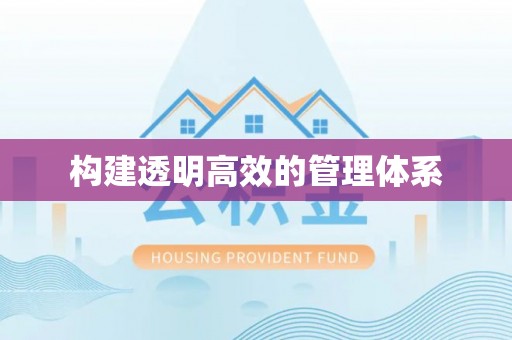 泰安构建透明高效的管理体系