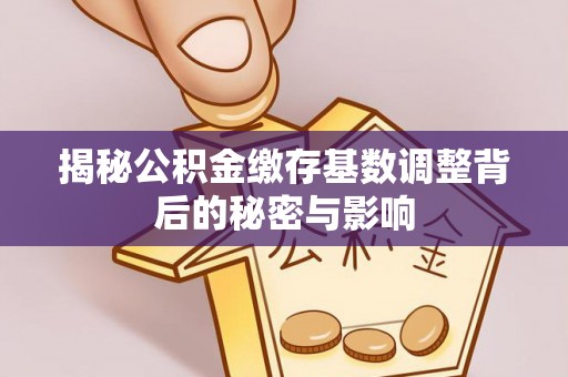 泰安揭秘公积金缴存基数调整背后的秘密与影响