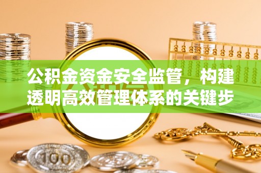 泰安公积金资金安全监管，构建透明高效管理体系的关键步骤