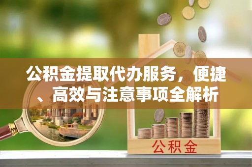 泰安公积金提取代办服务，便捷、高效与注意事项全解析
