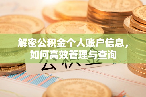 泰安解密公积金个人账户信息，如何高效管理与查询