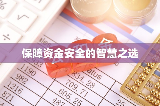 泰安保障资金安全的智慧之选