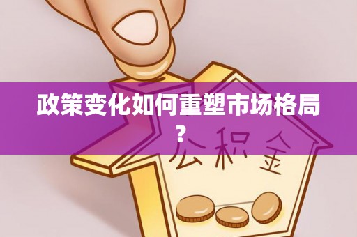 泰安政策变化如何重塑市场格局？