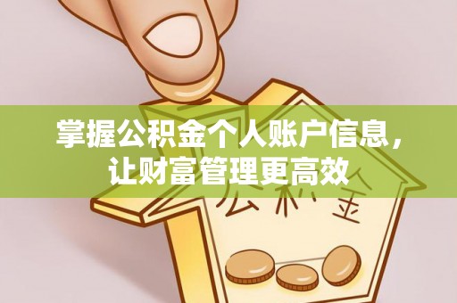 泰安掌握公积金个人账户信息，让财富管理更高效