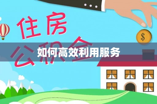 泰安如何高效利用服务
