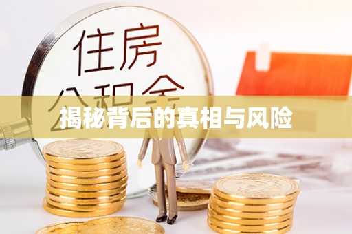 泰安揭秘背后的真相与风险