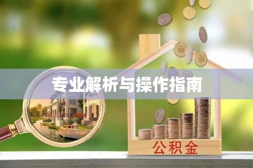 泰安专业解析与操作指南