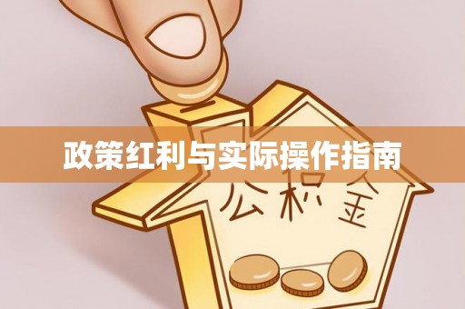 泰安政策红利与实际操作指南