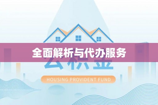泰安全面解析与代办服务