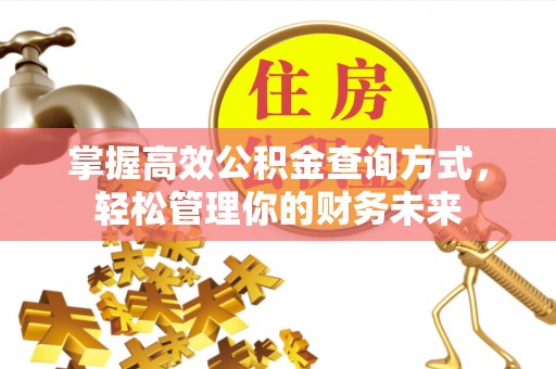 泰安掌握高效公积金查询方式，轻松管理你的财务未来