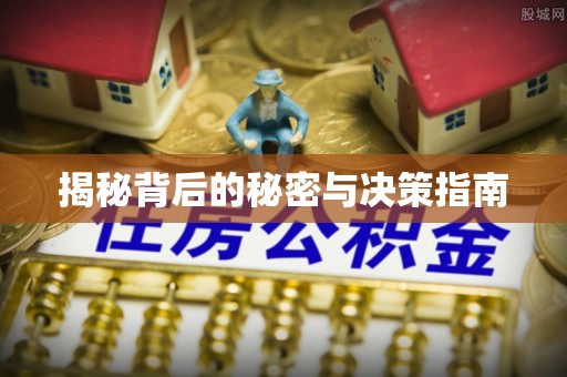 泰安揭秘背后的秘密与决策指南