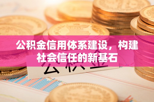 泰安公积金信用体系建设，构建社会信任的新基石