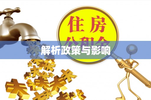 泰安解析政策与影响