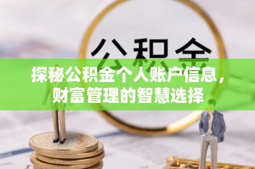 泰安探秘公积金个人账户信息，财富管理的智慧选择