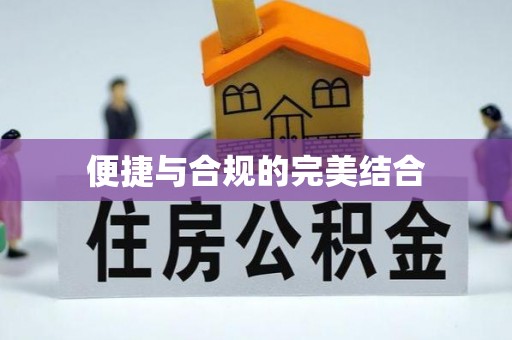 泰安便捷与合规的完美结合