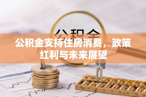 泰安公积金支持住房消费，政策红利与未来展望