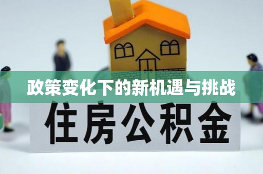 泰安政策变化下的新机遇与挑战