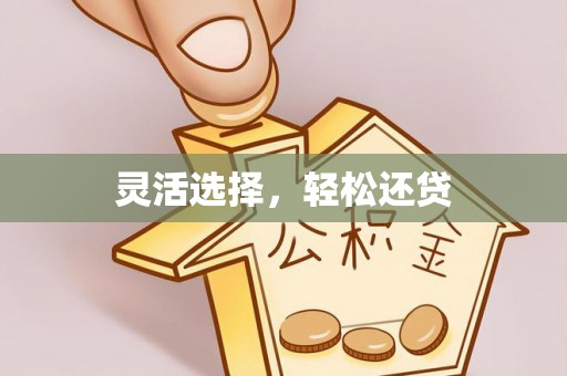 泰安灵活选择，轻松还贷