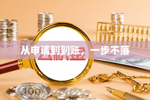 泰安从申请到到账，一步不落